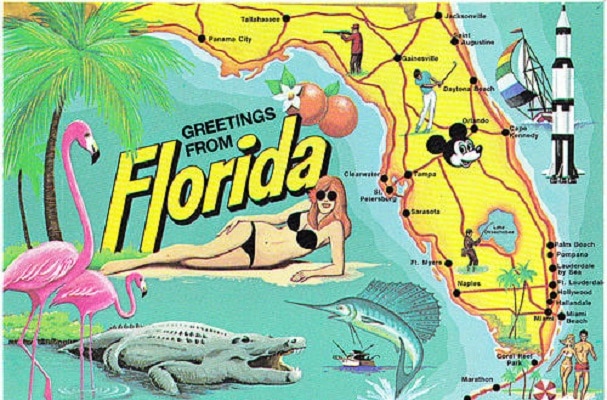 State Map of Florida Sunshine State Postcard Dolphin Great Seal Alligator 